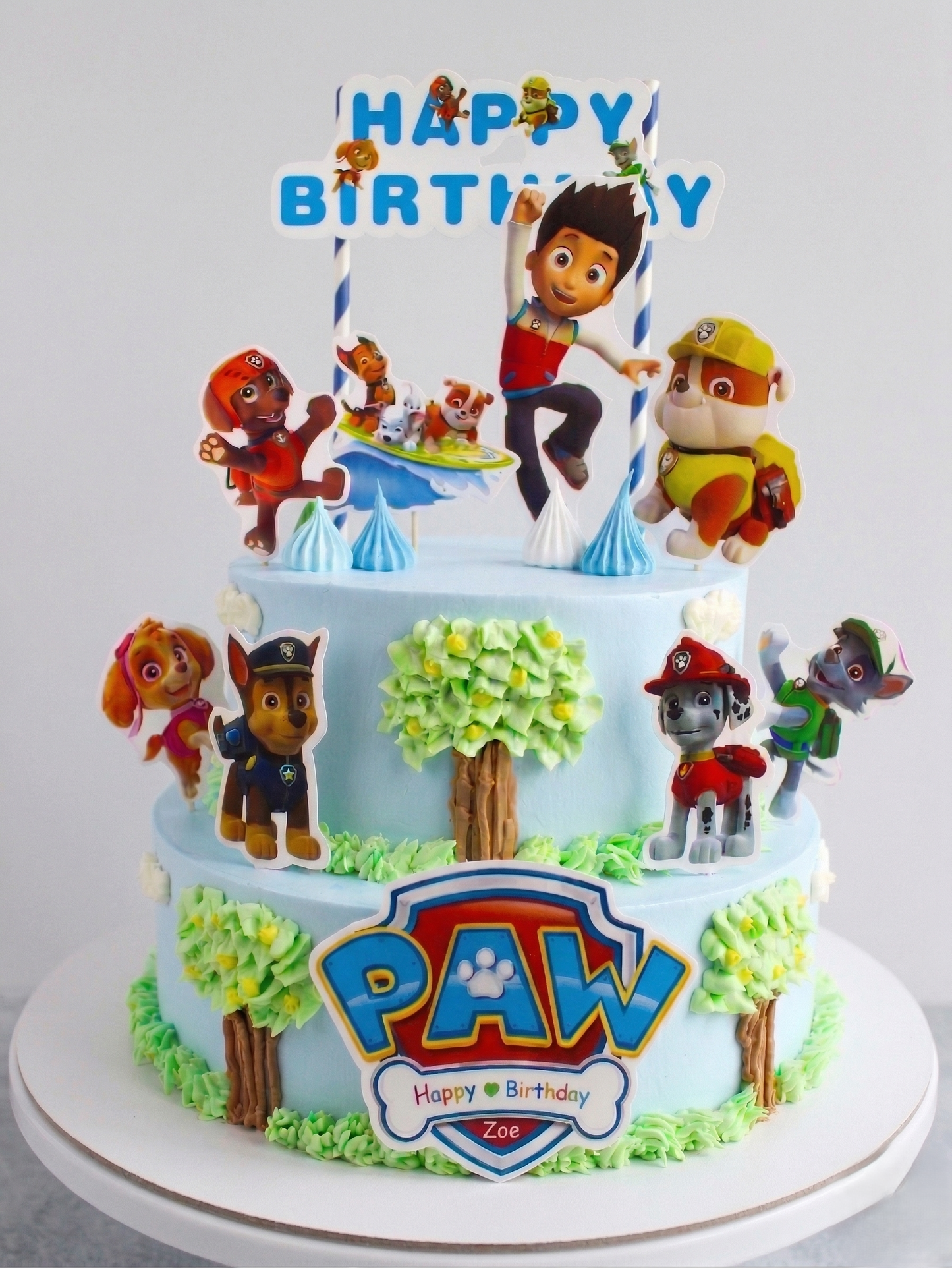B-723 Paw Patrol # 2