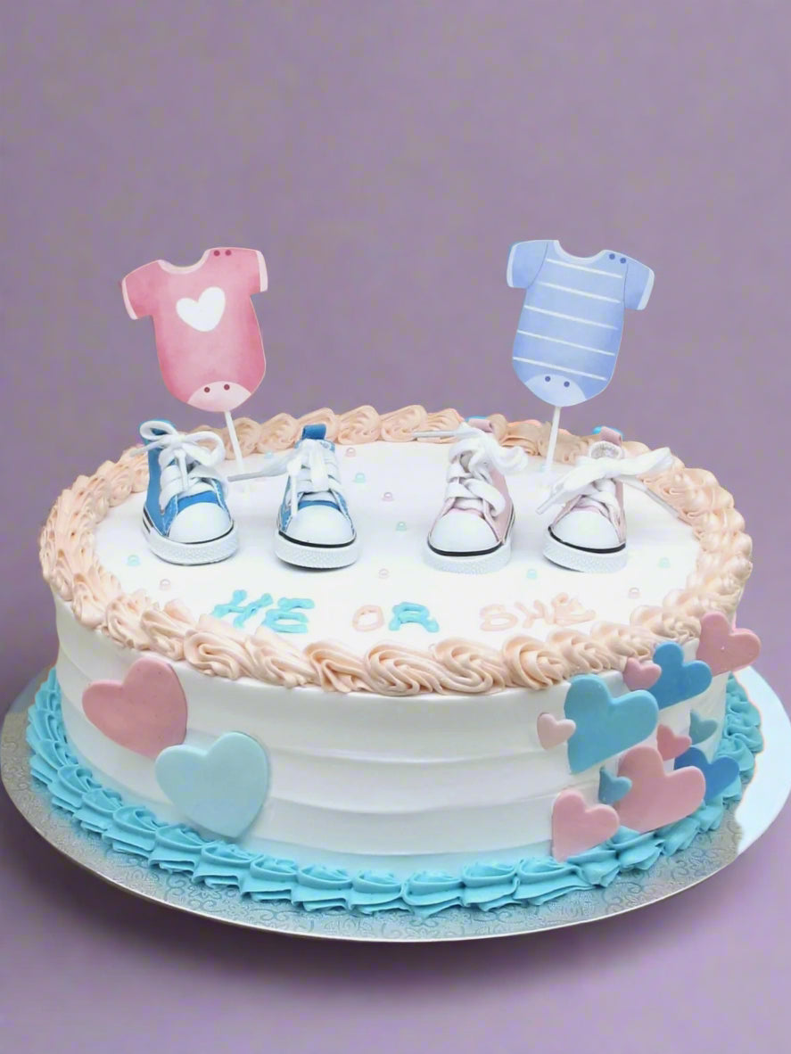 BS-226 Pink & Blue Baby Shoes (Copy)
