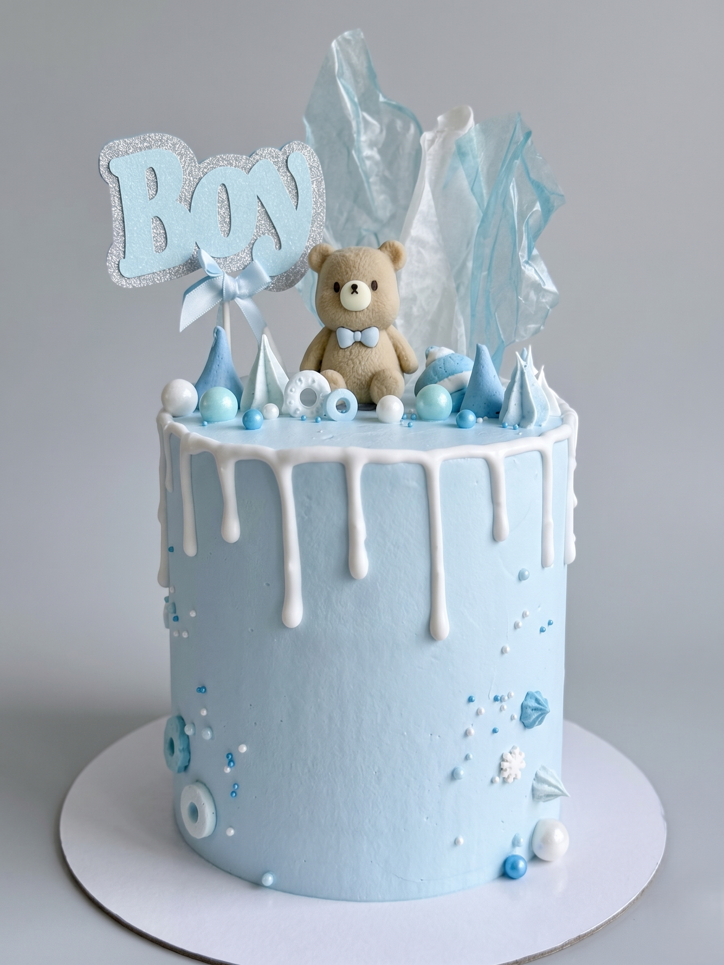 BS-317 Blue Bear