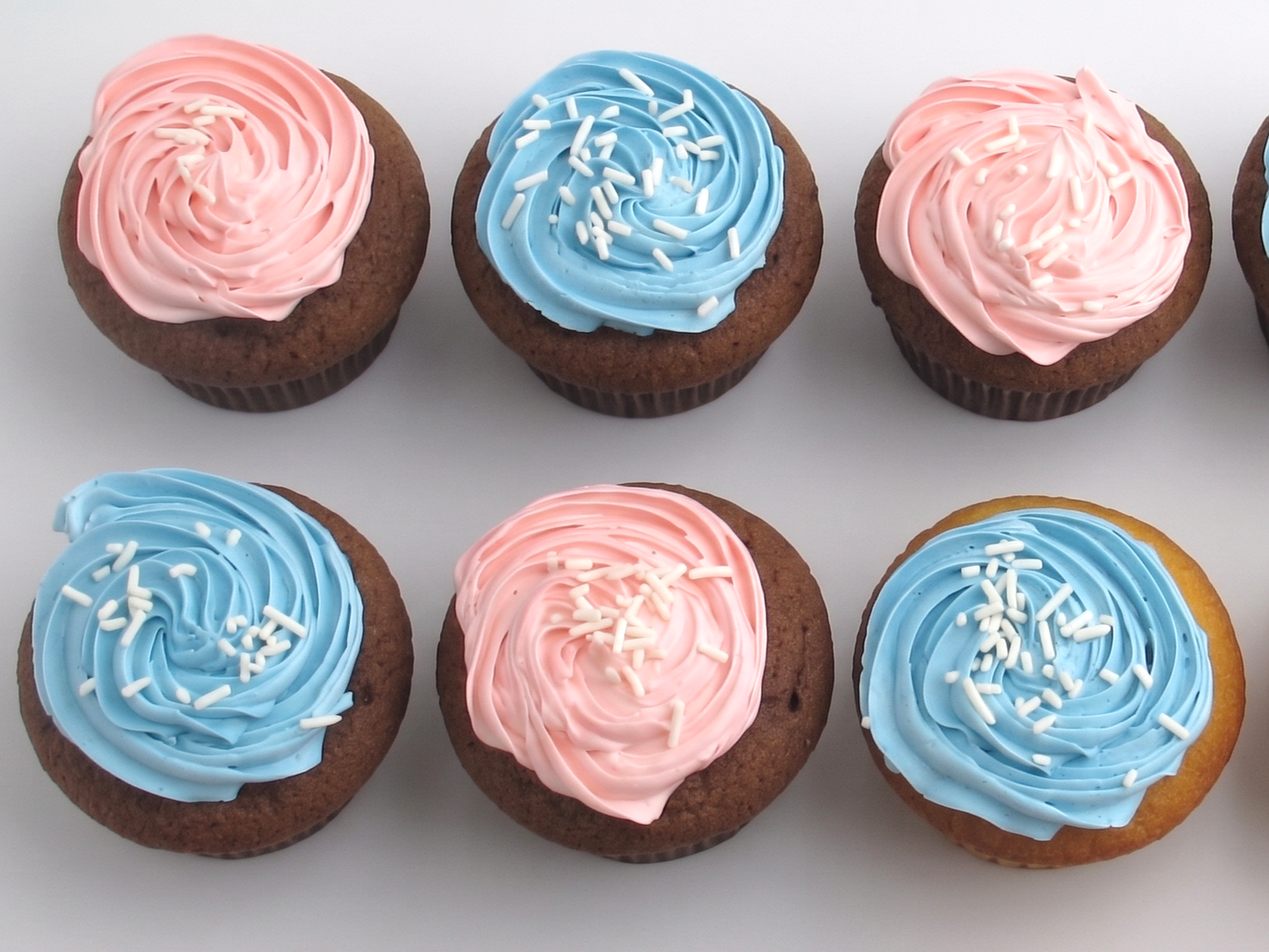 BSC-101 Gender Reveal Cupcake 01