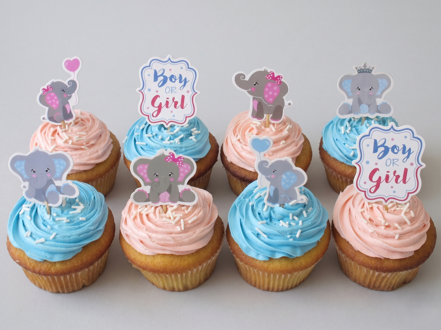 BSC-108 Gender Reveal Cupcake 08