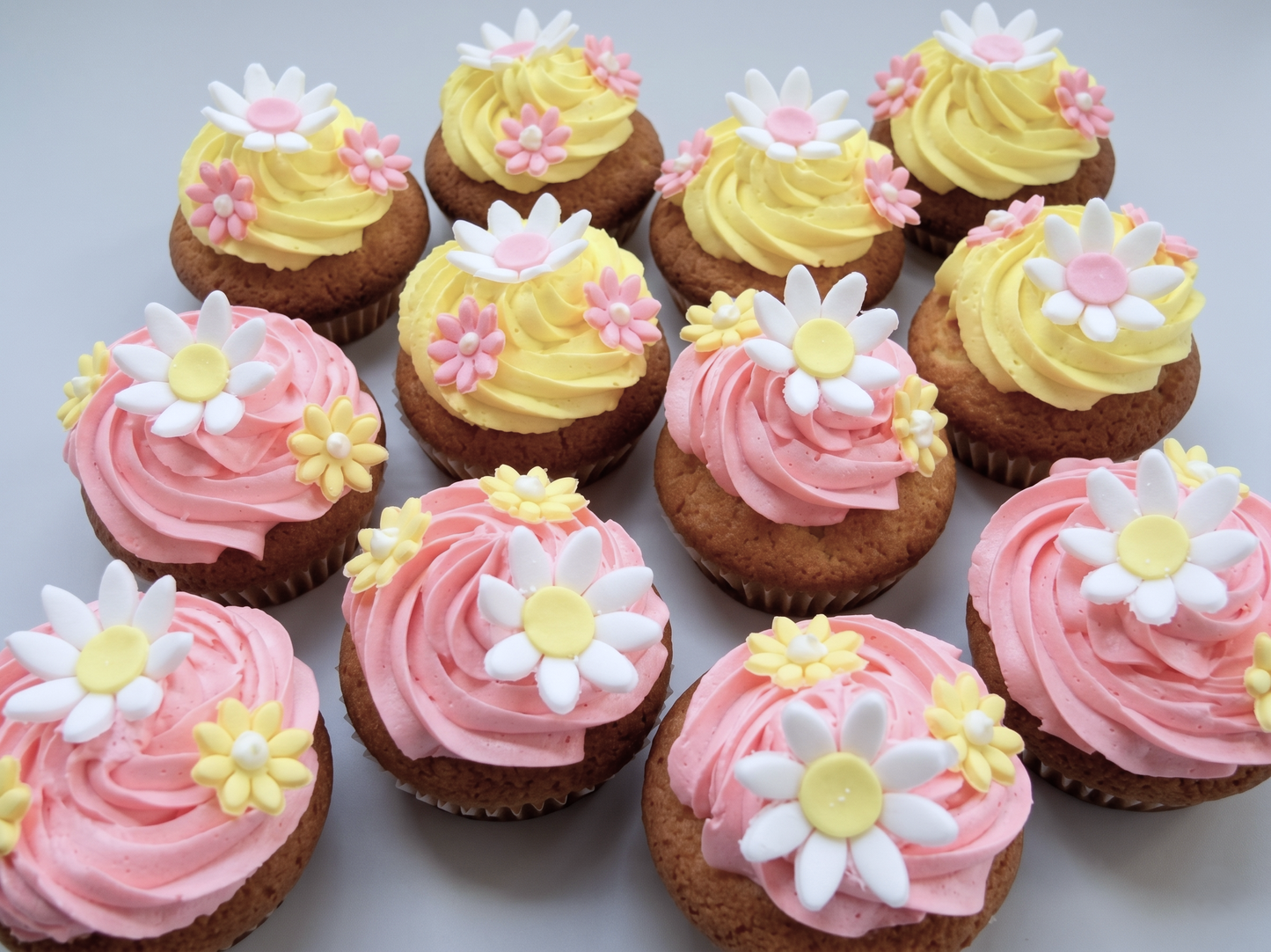 CP-206 Daisy Cupcake