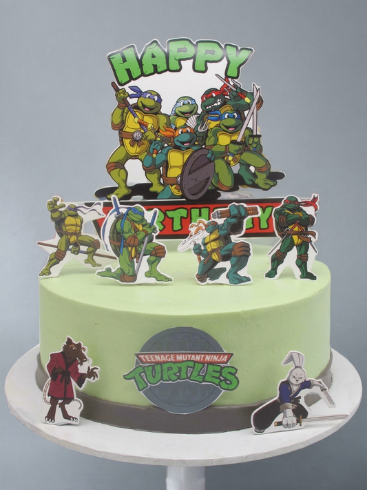 B-270 Ninja Turtles #2