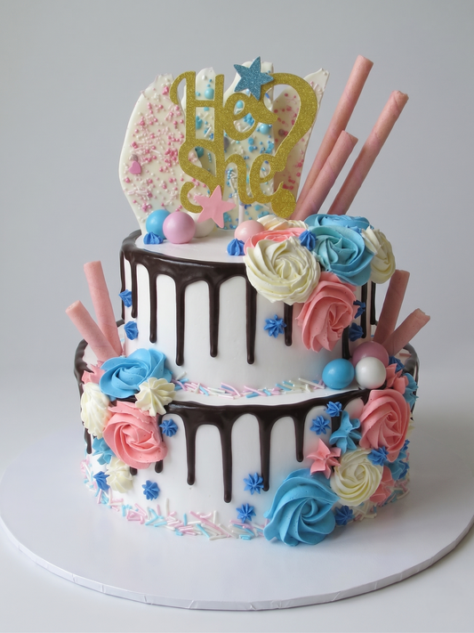 BS-244 Pink & Blue Drip Cake #1