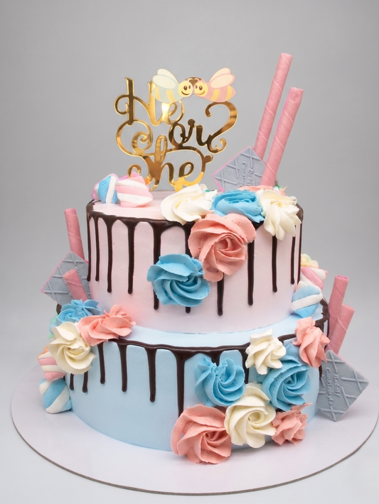 BS-249 Pink & Blue Drip Cake #2