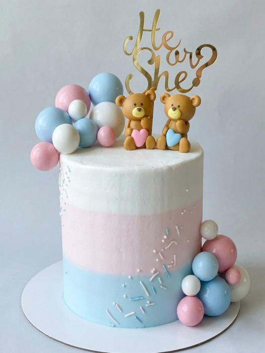 BS-265 Pink Or Blue Bear