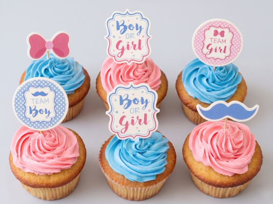 BSC-107 Gender Reveal Cupcake 07