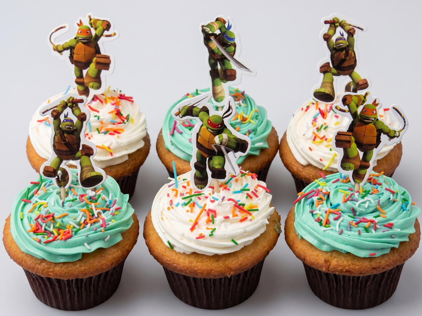 CP-159 Ninja Turtle Pick Cupcake